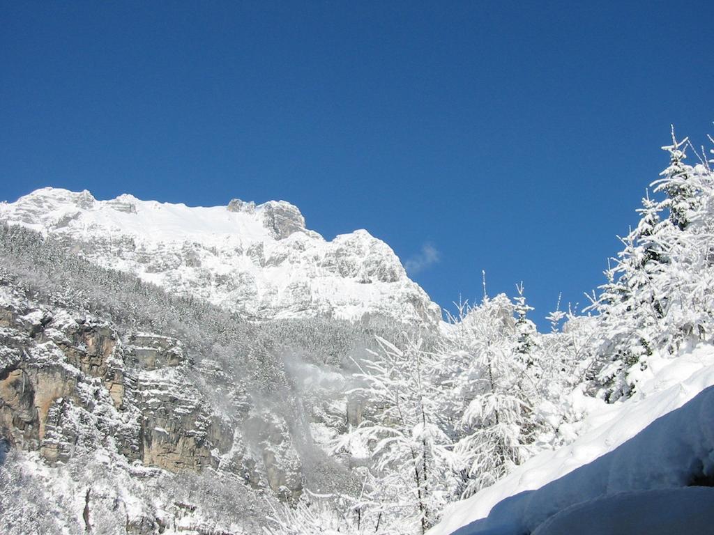 Appartamenti Donini Alfredo โมลเวโน ภายนอก รูปภาพ